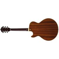 Ibanez AG95K NT Natural Chitarra Semiacustica NUOVO ARRIVO_2