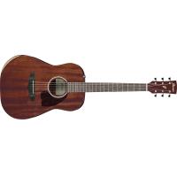 Ibanez PF14JR OPN Open Pore Natural Chitarra Acustica _1