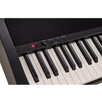 Korg B2 BK Nero + Supporto a X Pianoforte digitale NUOVO ARRIVO_3