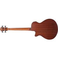 Ibanez AEGB30E NTG Natural High Gloss Basso Acustico NUOVO ARRIVO_4