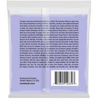 Ernie Ball 2839 13-72 Baritone Nickel Wound Muta di corde per chitarra elettrica baritona_2