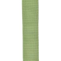D'Addario PWS107 Polypro Guitar Strap Green Tracolla_3