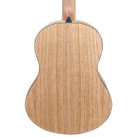 Camwood IC-100D NA Natural Chitarra Classica_3