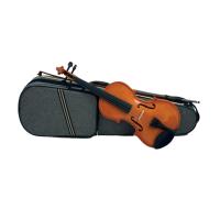 Domus Principiante 4/4 Violino