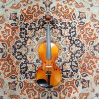 Oqan OV500 4/4 Violino con Custodia a Goccia - SETTATO E CONTROLLATO_2