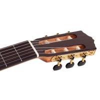 Salvador Cortez CS-65 Chitarra Classica 4/4_5