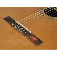 Salvador Cortez CC-10 Chitarra classica 4/4_5