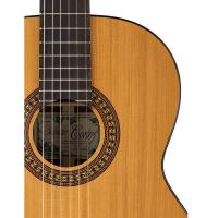Salvador Cortez CC-22 Chitarra Classica 4/4_2