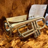 Amati ACR251-0 Flicorno Sopranino/Cornetta B-Stock_6