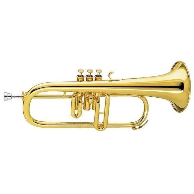 Amati AFH 201 a 3 pistoni Flicorno in Sib