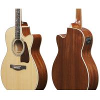 Ibanez AC390CE NT Natural HIgh Gloss Chitarra Acustica Elettrificata_4
