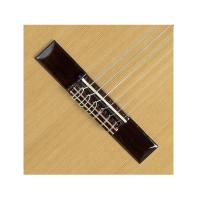 Alhambra 2C con Custodia Imbottita 15mm Black Chitarra Classica_4