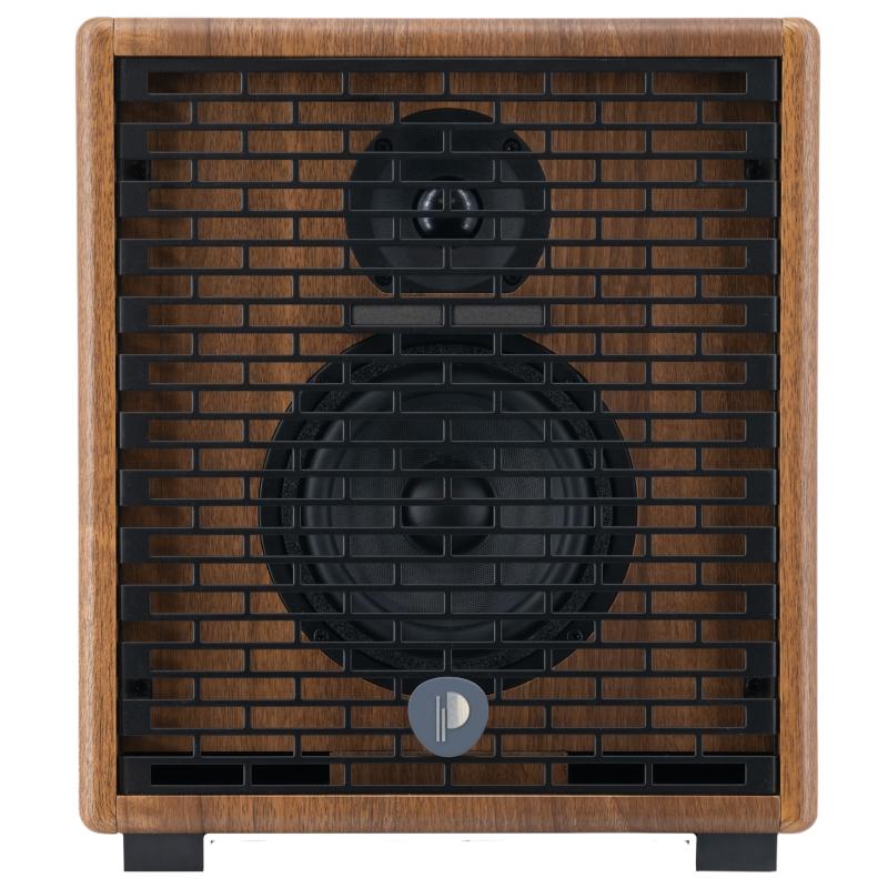 Prodipe Natural 5 V2 5W Walnut Wood Amplificatore Acustico 