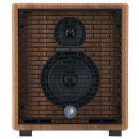 Prodipe Natural 5 V2 5W Walnut Wood Amplificatore Acustico 