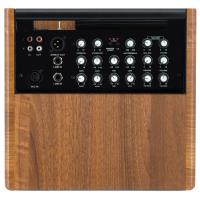 Prodipe Natural 5 V2 5W Walnut Wood Amplificatore Acustico _3
