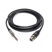 Reference Cables Dammi un cavo BK-XLRF/JTS-1.25 Cavo