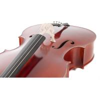 Gewa Set Violoncello 4/4 EW Dark Red Brown Setup Tedesco in Workshop Gewa_5