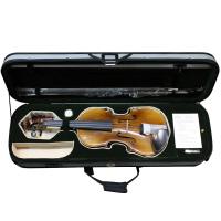 Domus Accademia 1 Violino 4/4 VL4400