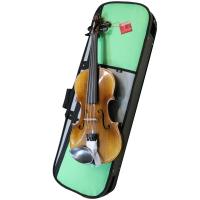 Domus Accademia 1 Violino 4/4 VL4400_2
