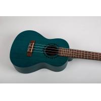 Bumblebee Buc23 Blue Ukulele Concerto_3
