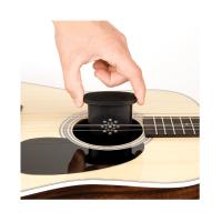 D'Addario GHP Guitar Humidifier Pro Umidificatore_2