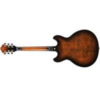 Ibanez ASH300-TBC Tobacco Brown Chitarra Semiacustica_2