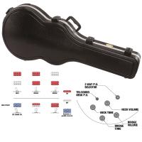 Ibanez ASH300-TBC Tobacco Brown Chitarra Semiacustica_4