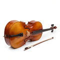 Violoncelli
