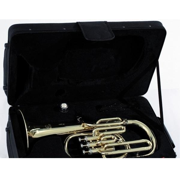 SoundSation SFB10G Flicorno Baritono in Sib - immagine 3