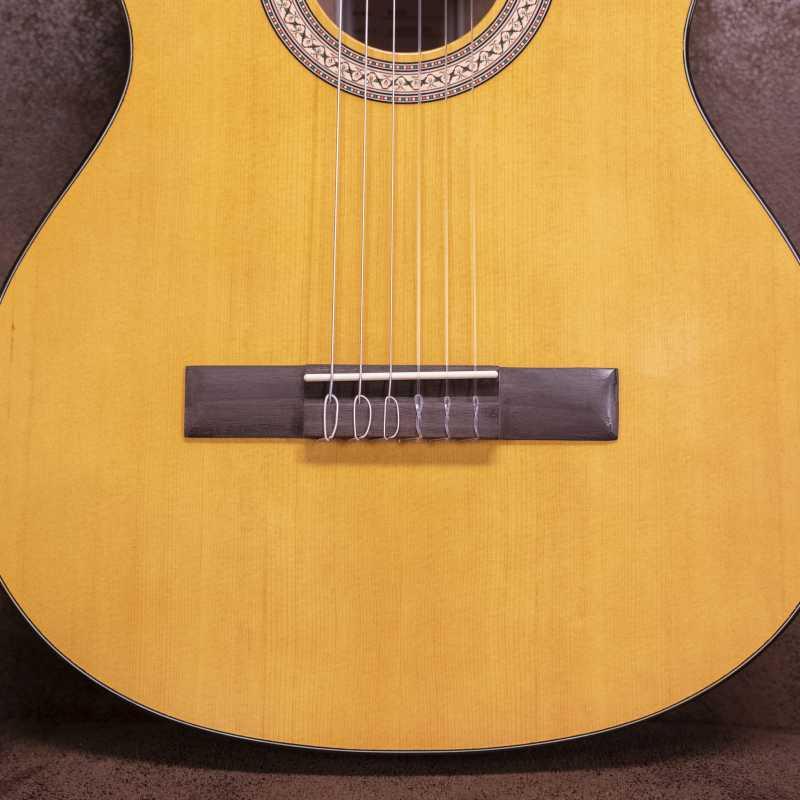 Walden WAN450W Standard 400 Chitarra Classica ULTIMO PEZZO - immagine 4