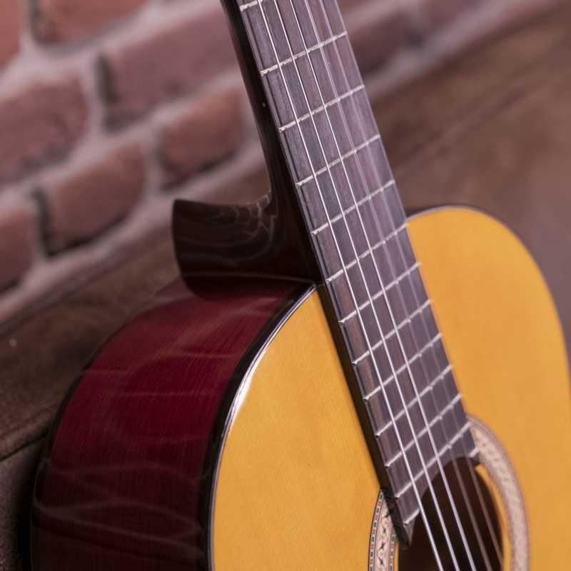 Walden WAN450W Standard 400 Chitarra Classica ULTIMO PEZZO - immagine 5