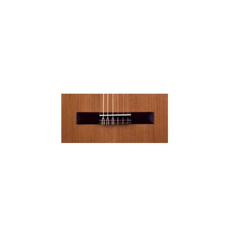 Jos Torres JTC5S Chitarra Classica - immagine 3