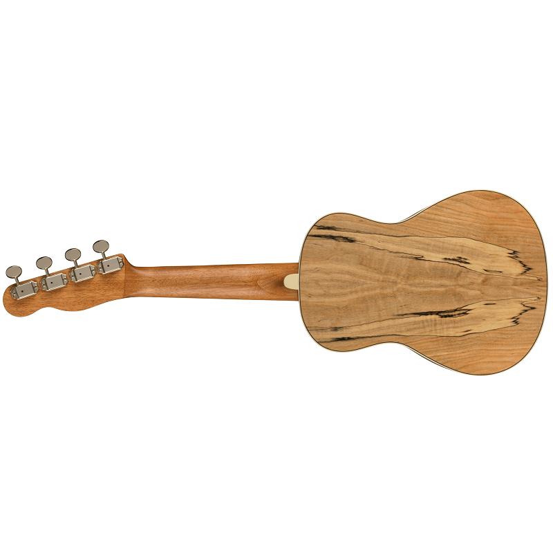 Fender Zuma Exotic Concert Ukulele WN Spalted Maple Ukulele Concerto NUOVO ARRIVO - immagine 2