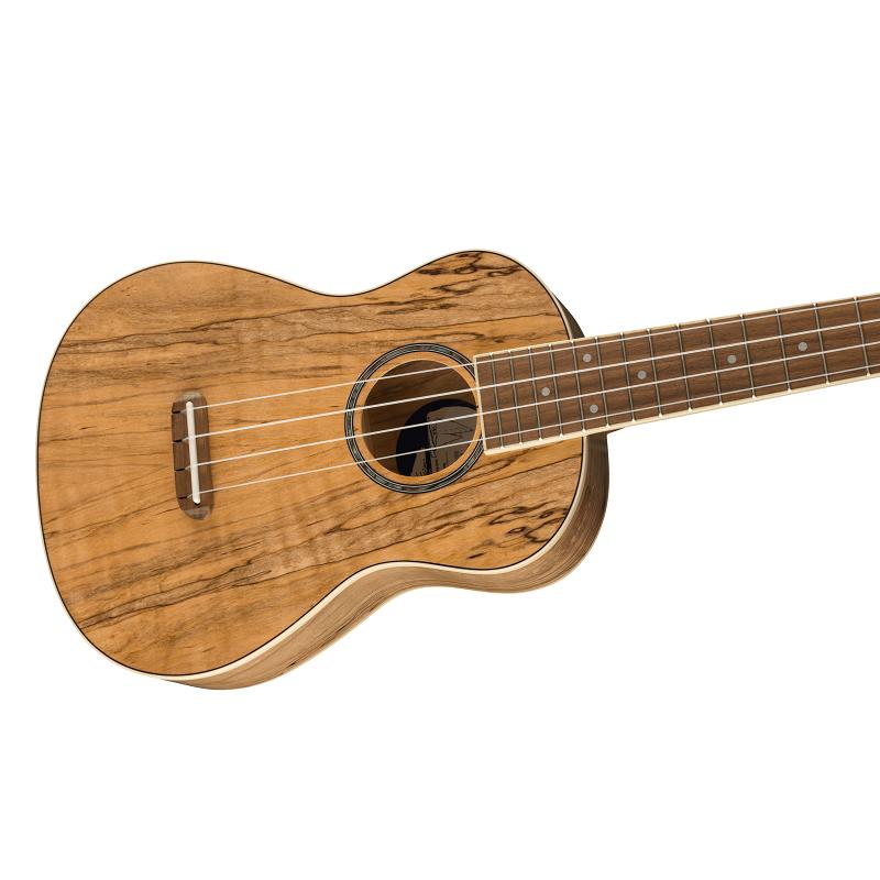Fender Zuma Exotic Concert Ukulele WN Spalted Maple Ukulele Concerto NUOVO ARRIVO - immagine 3