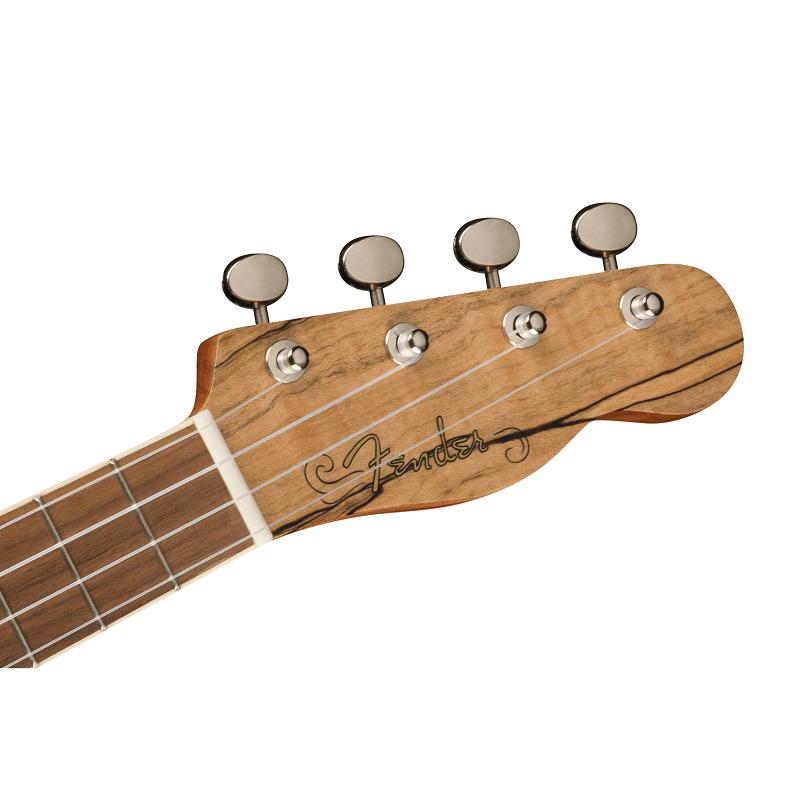Fender Zuma Exotic Concert Ukulele WN Spalted Maple Ukulele Concerto NUOVO ARRIVO - immagine 4