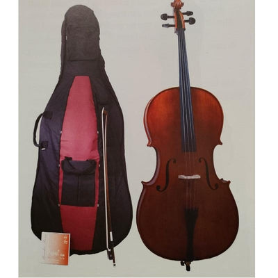 Domus Allievo II Violoncello 44 VC4200 Settato e controllato con certificazione