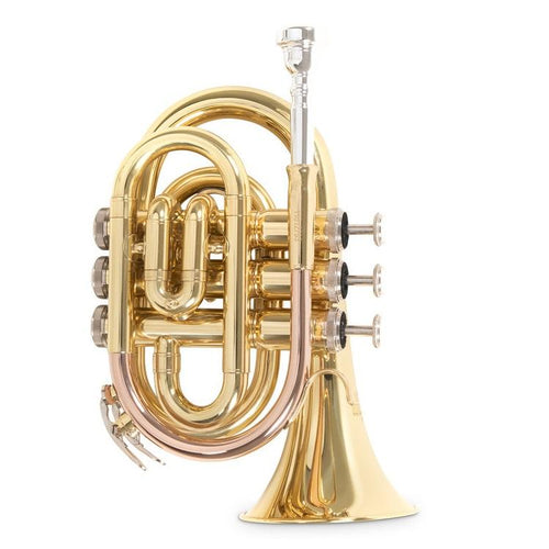 Roy Benson PT101 in Sib Tromba Pocket