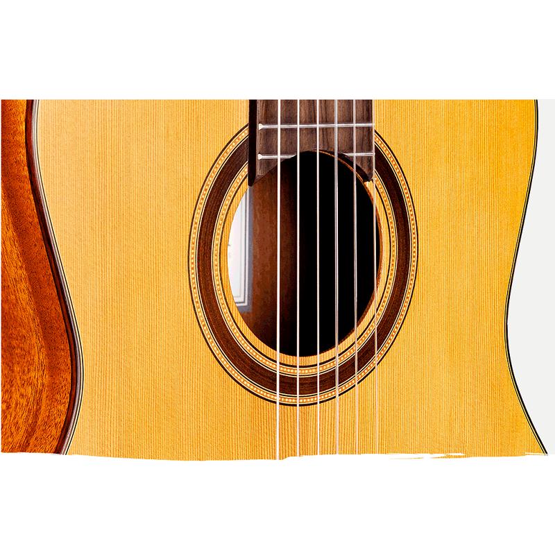 Cordoba C3M Cedro Chitarra Classica NUOVO ARRIVO - immagine 2