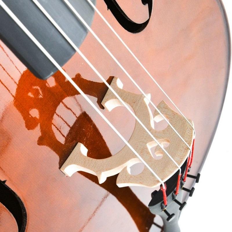 Domus Allievo I Violoncello 44 - immagine 2