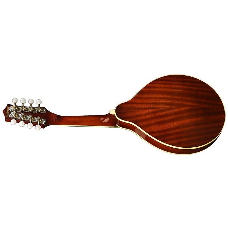 Richwood RMA60VS Mandolino - immagine 2