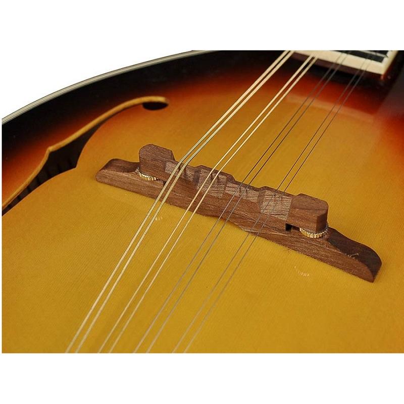 Richwood RMA60VS Mandolino - immagine 3