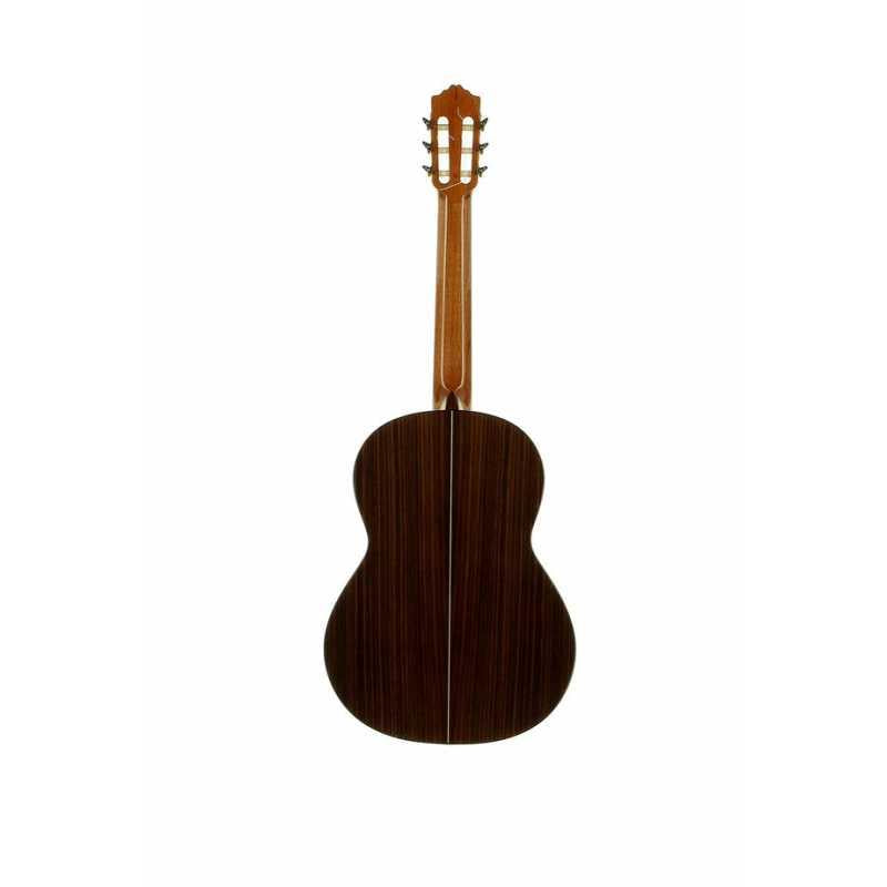 Jos Torres JTC50 Chitarra Classica - immagine 2