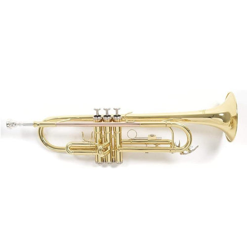 Roy Benson TR101 Tromba in Sib