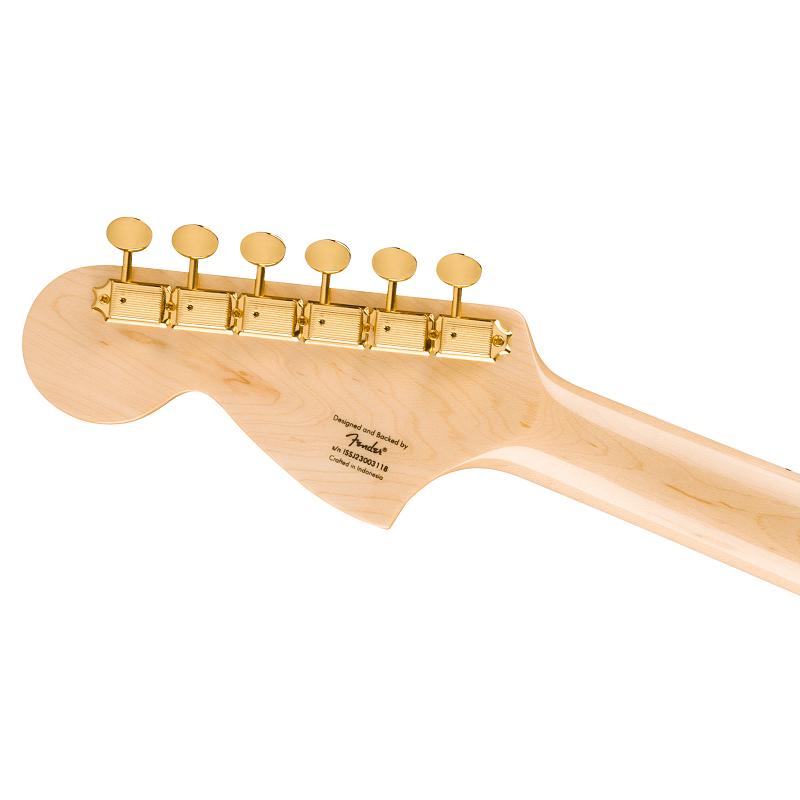 Fender Squier Telecaster Paranormal Troublemakers Deluxe LR Black Limited edition Chitarra Elettrica - immagine 5