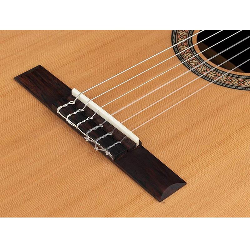 Salvador Cortez Lola C Serie Iberia Chitarra classica 44 NUOVO ARRIVO - immagine 5