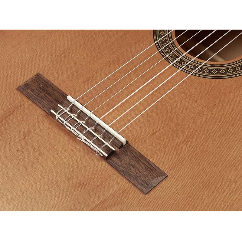 Salvador Cortez CC06 Chitarra Classica 44 - immagine 3