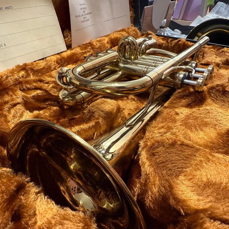 Amati ACR2510 Flicorno SopraninoCornetta - immagine 3
