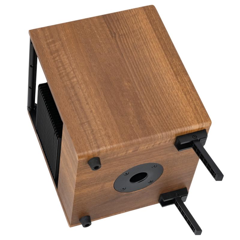 Prodipe Natural 5 V2 5W Walnut Wood Amplificatore Acustico - immagine 6