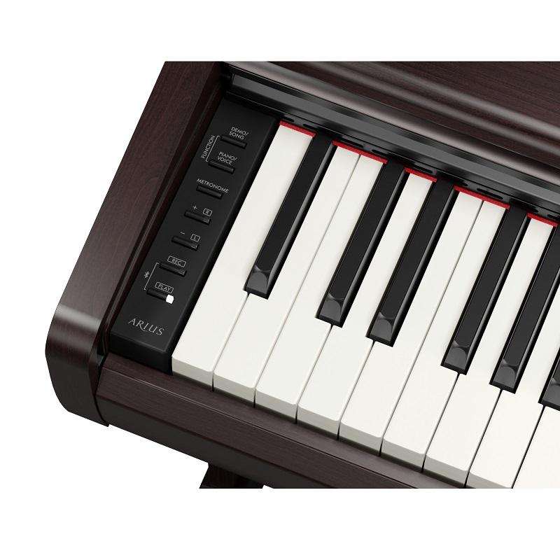 Yamaha YDP146R Rosewood Pianoforte Digitale - immagine 3