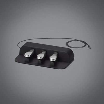 Casio SP34 Sustain Pedal Unit Pedaliera per piano digitale Casio PXS1100